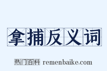 拿捕反义词是什么意思的图片